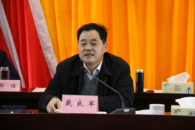 集團黨委委員、副總經(jīng)理、總工程師戴良軍發(fā)表講話